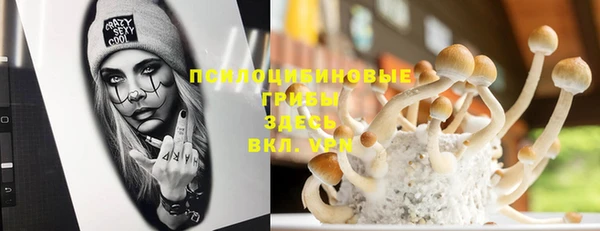 крисы Алексеевка