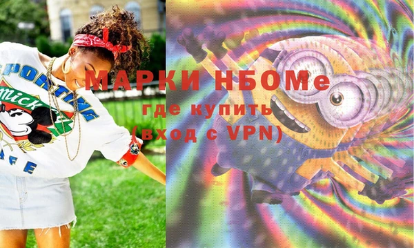 шишки Алексин