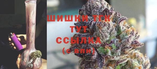 шишки Алексин